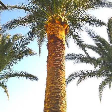 Vendégház House Rozi