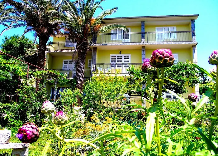 House Rozi Πανσιόν 3*